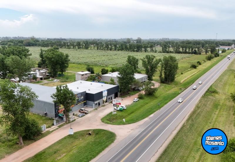 Galpones / Depósitos - Roldan - Venta