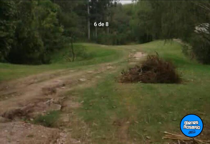 Terrenos - Oliveros - Venta