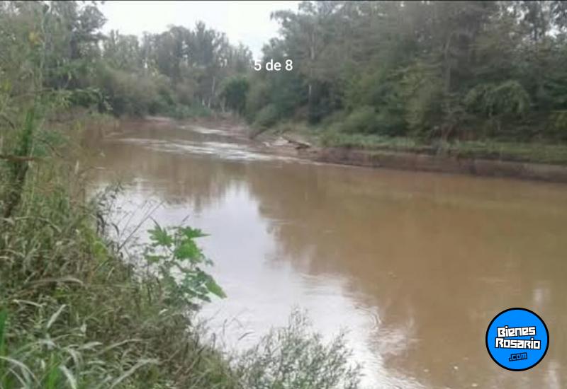 Terrenos - Oliveros - Venta