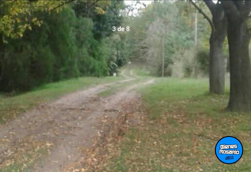 Terrenos - Oliveros - Venta