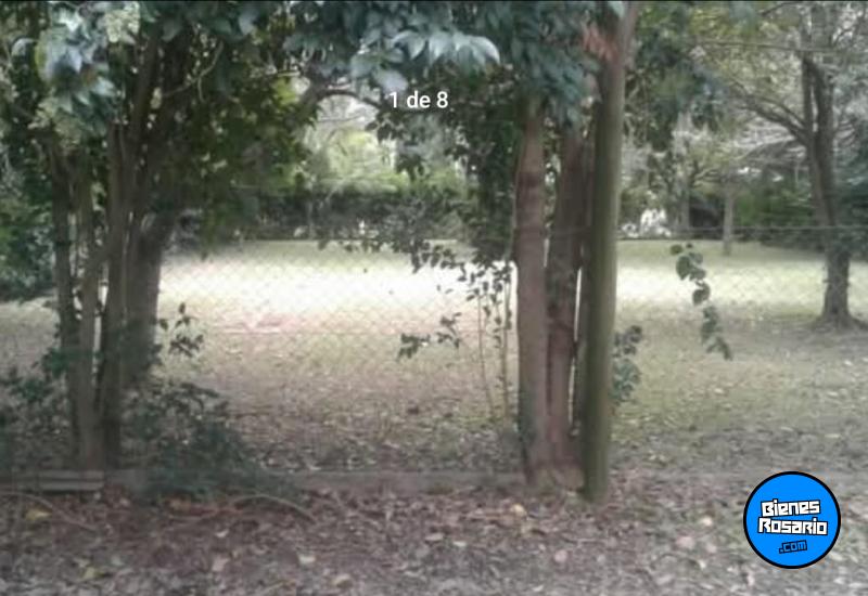 Terrenos - Oliveros - Venta