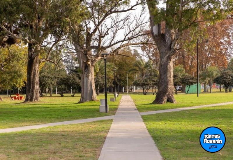 Terrenos - Alvear - Venta