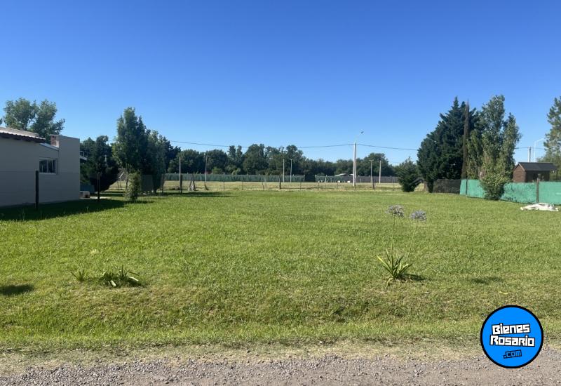 Terrenos - Ibarlucea - Venta