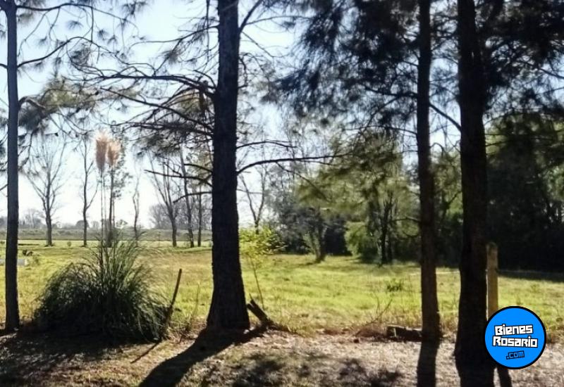 Terrenos - Roldan - Venta