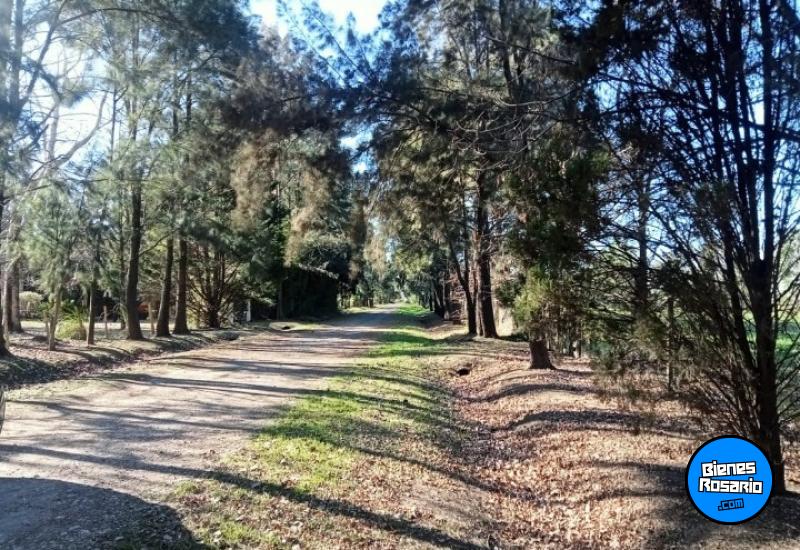 Terrenos - Roldan - Venta