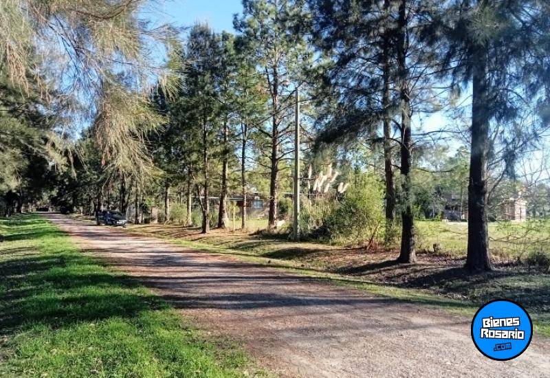 Terrenos - Roldan - Venta