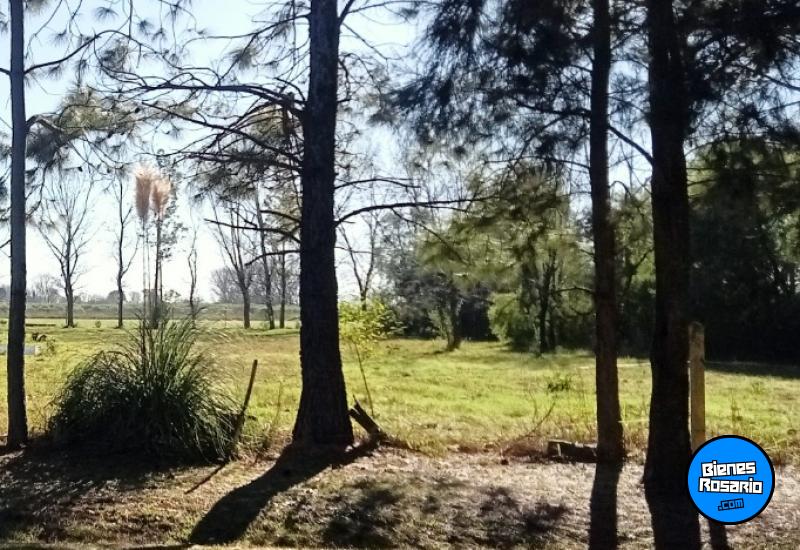 Terrenos - Roldan - Venta