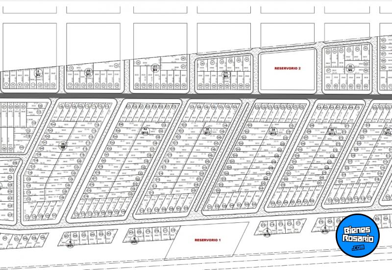 Terrenos - Zavalla - Venta