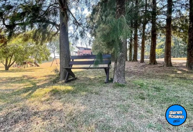 Terrenos - Fighiera - Venta