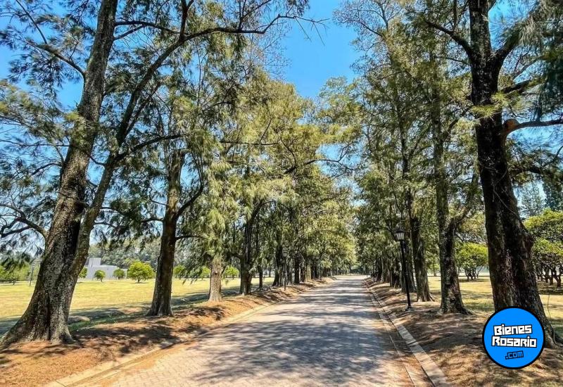 Terrenos - Fighiera - Venta