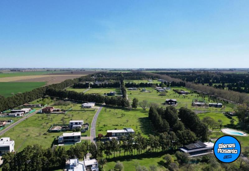 Terrenos - Fighiera - Venta