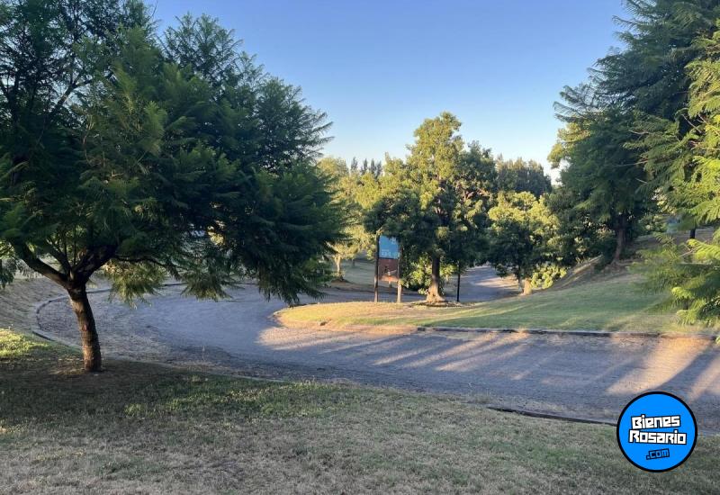 Terrenos - Fighiera - Venta