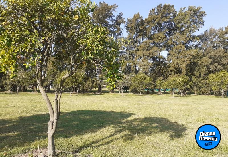 Terrenos - Rosario - Venta