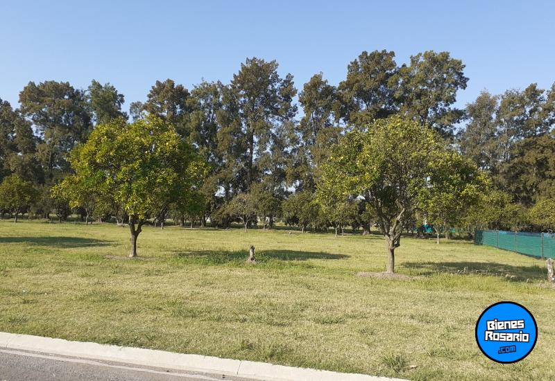 Terrenos - Rosario - Venta