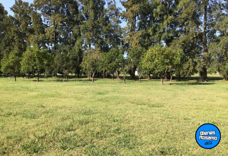 Terrenos - Rosario - Venta