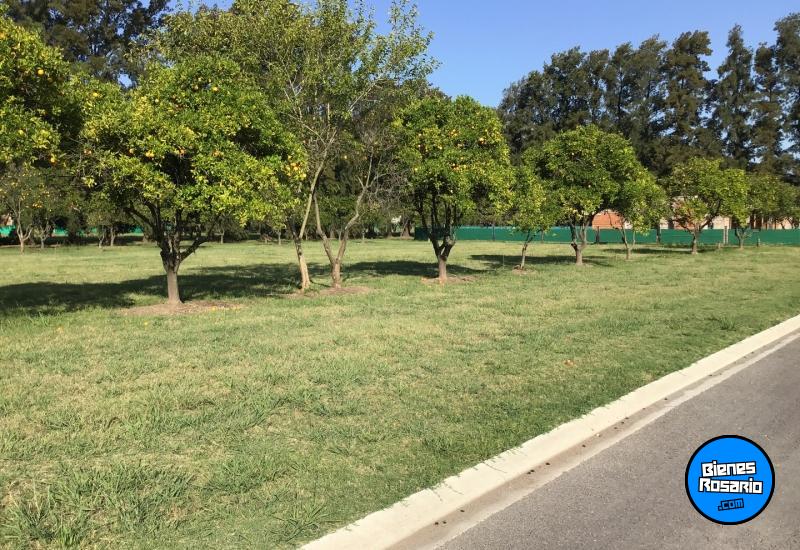 Terrenos - Rosario - Venta