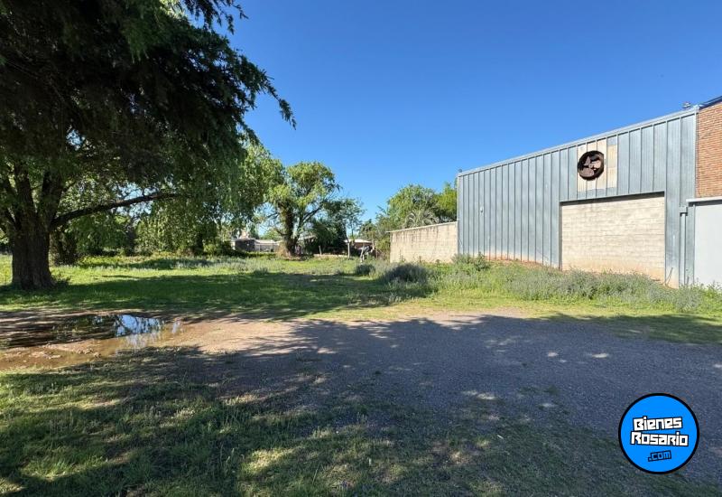 Locales - Arocena - Venta