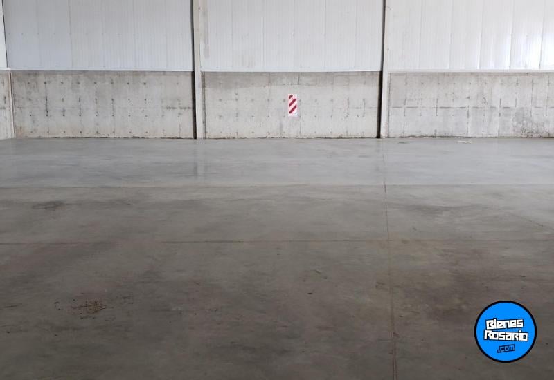 Galpones / Dep贸sitos - Alvear - Alquiler