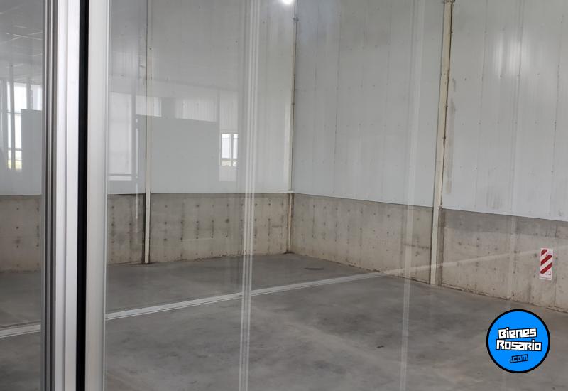 Galpones / Dep贸sitos - Alvear - Alquiler
