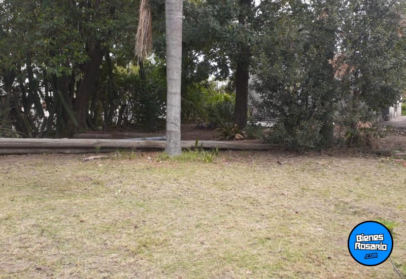 Terrenos - Santa Teresa - Venta