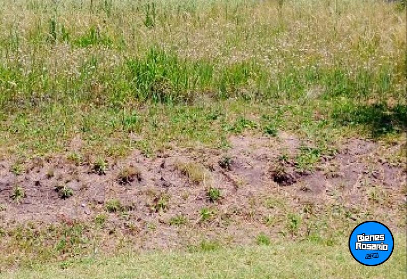 Terrenos - Rosario - Venta
