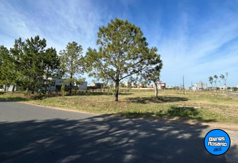 Terrenos - Funes - Venta