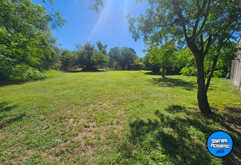 Terrenos - Pueblo Esther - Venta