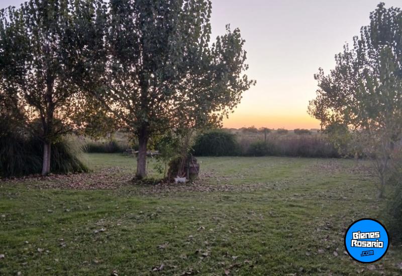 Terrenos - Alvear - Venta