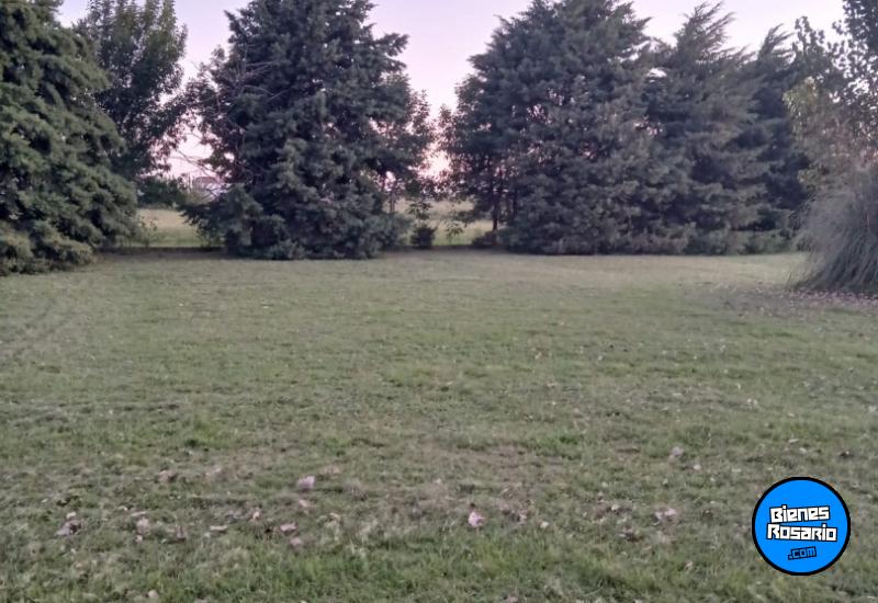 Terrenos - Alvear - Venta