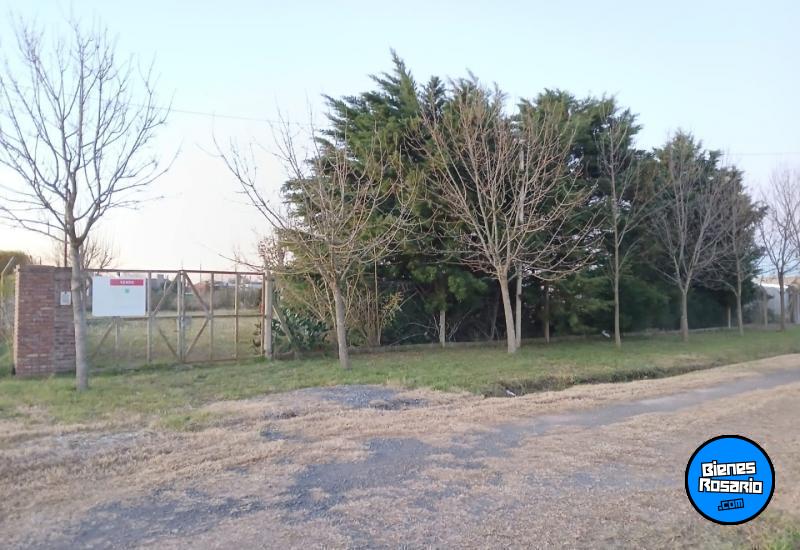 Terrenos - Alvear - Venta