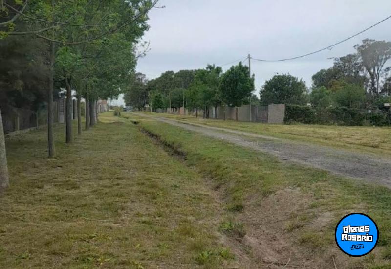 Terrenos - Alvear - Venta