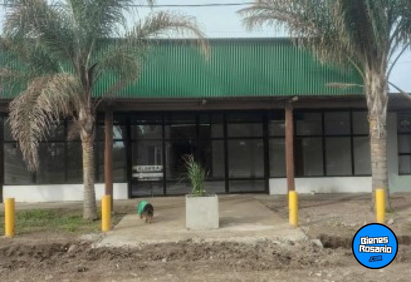 Galpones / Depósitos - Rosario -  Alquiler