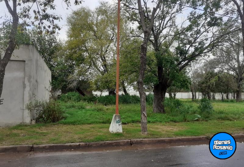 Terrenos - Bustinza - Venta