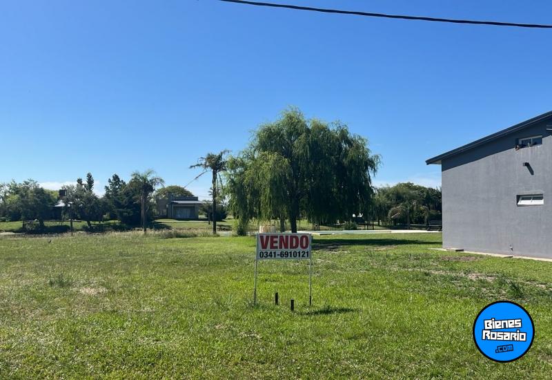 Terrenos - Oliveros - Venta