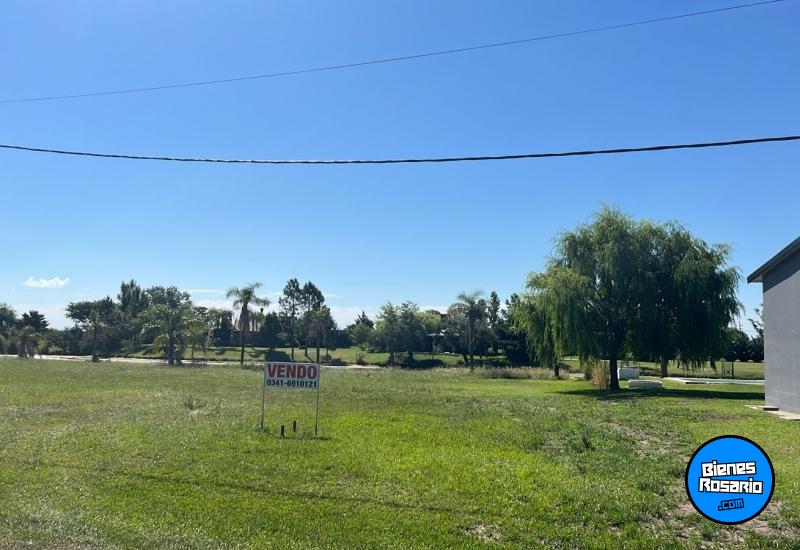 Terrenos - Oliveros - Venta