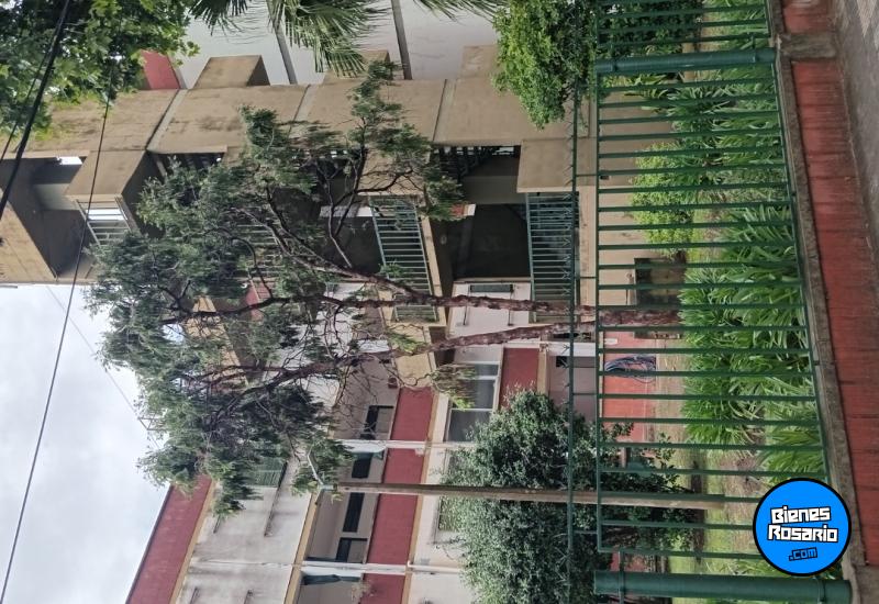 Departamentos - Rosario -  Alquiler