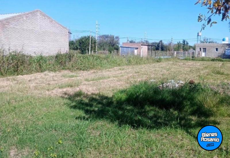 Terrenos - Zavalla - Venta