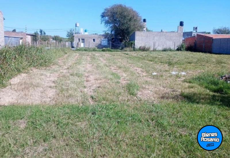 Terrenos - Zavalla - Venta