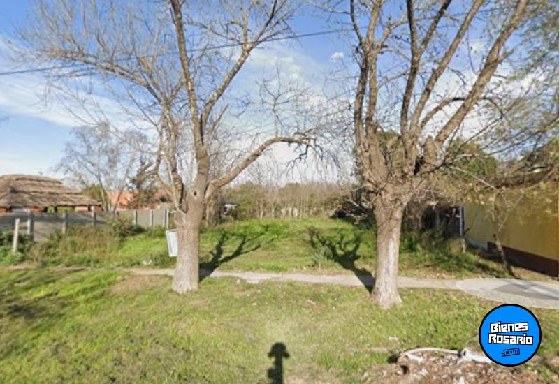 Terrenos - Oliveros - Venta