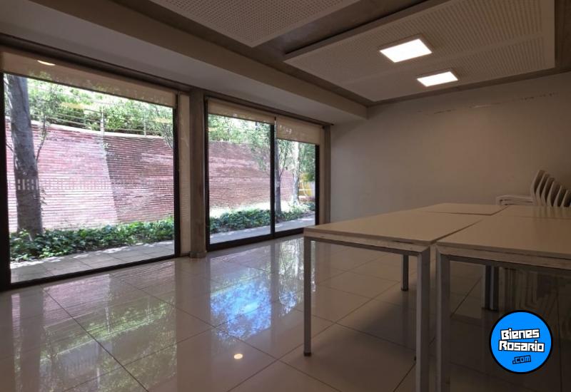 Departamentos - Rosario -  Alquiler