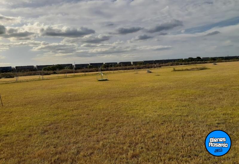 Terrenos - Pi�ero - Venta