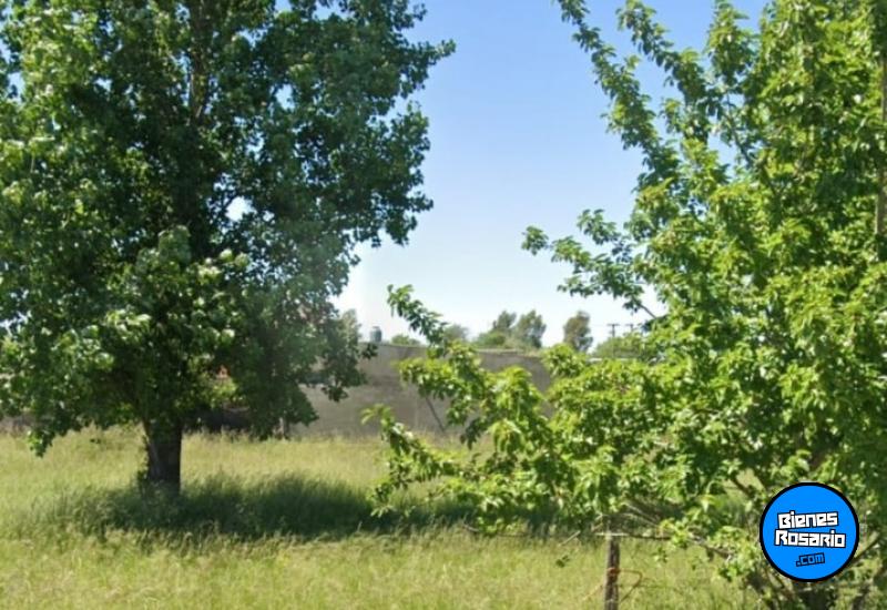 Terrenos - Alvear - Venta