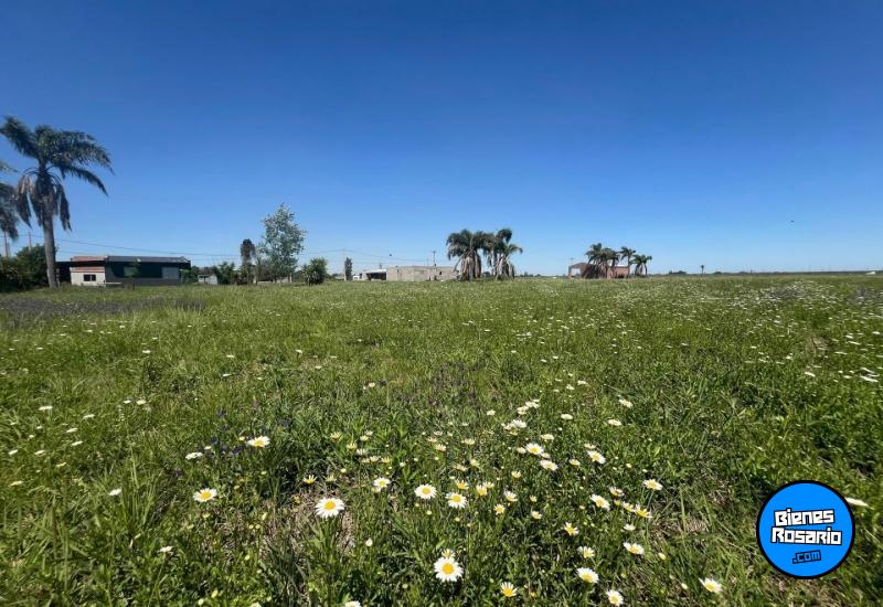 Terrenos - Carcara補 - Venta