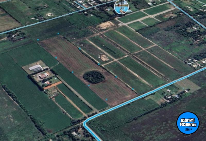 Campos - Ibarlucea - Venta