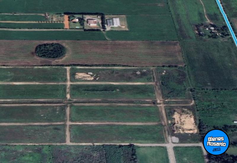 Campos - Ibarlucea - Venta