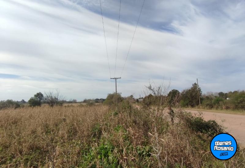 Campos - Ibarlucea - Venta