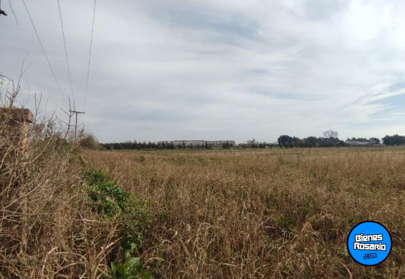 Campos - Ibarlucea - Venta