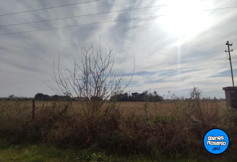 Campos - Ibarlucea - Venta