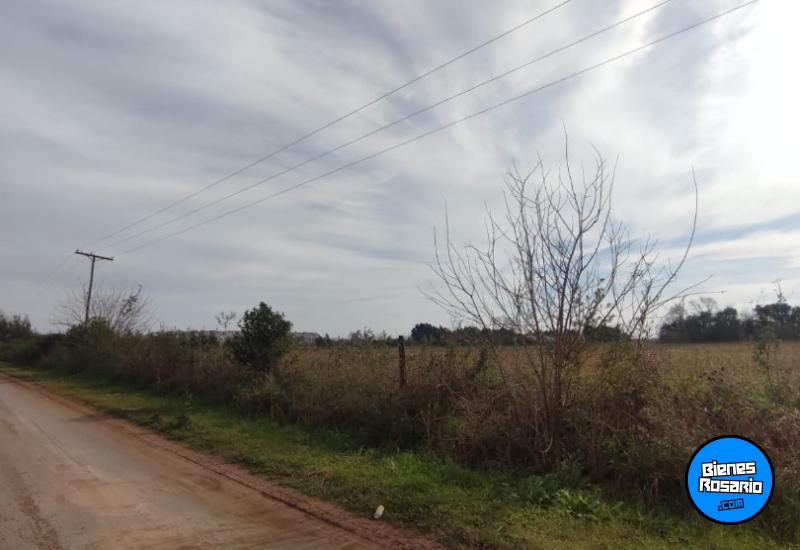 Campos - Ibarlucea - Venta