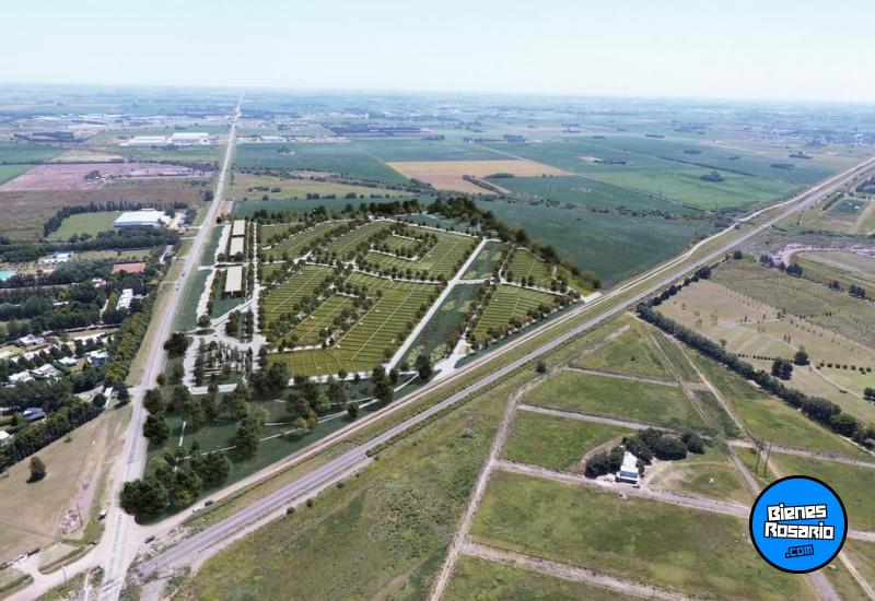 Terrenos - Pueblo Esther - Venta